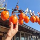 사진마당 - 남양주시 경춘로1286번길 14 | 사진마당