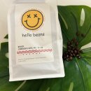 헬로빈스 이미지