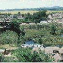 수원-1960 연합뉴스