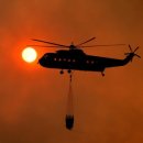 길안면행정복지센터 이미지