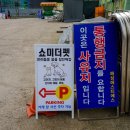 쇼미더펫 이미지
