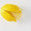 레몬세탁 이미지