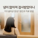 이*균 - 안양시 만안구 안양로467번길 | 가드넬라균 양성 후기｜냉 증가로 산부인과 검사받고 알게 된 원인 증상 치료
