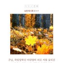 요한양만 네이버블로그