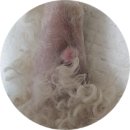 용산동물병원 이미지