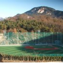 유소년야구장 이미지