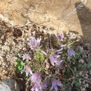 전산옥민박 이미지