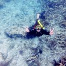 블랙펄호텔 이미지