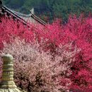 사진교실 이미지