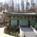 태산사 Daum카페