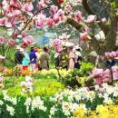 태안 여행 추천 꽃축제 태안 천리포수목원 이미지