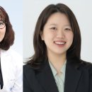 공식술상