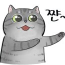 더 클래스 안경 이미지