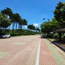 황성공원 물놀이장 화장실 | 경주 물놀이터 황성공원 무료 물놀이장