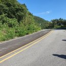 금과면사무소 이미지