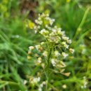 웰그린농장 이미지