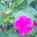 <b>대출</b>... 갭투자... <b>세상</b>은 아래를 보고, 맞추어...