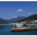 저구항민박 이미지