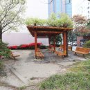 개나리아파트 주변 이미지