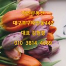 태전삼성공인중개사사무소 네이버블로그