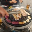 동성복돼지