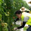 농업회사법인 다음산업주식회사 이미지