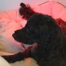 범서약국 이미지