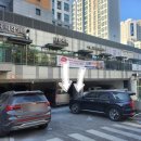 조양수지 이미지