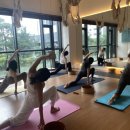 내몸을 살리는 요가(d반) | 직장인 점심시간, 내 몸을 위한 1시간! 마포공덕 요가블러썸 소규모 점심 요가클래스
