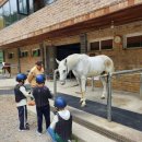 태백승마클럽 이미지