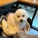 똘이's 하우스 이미지