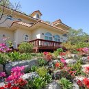 채원애뜰 이미지