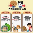 오산1교차로 | 오산 아이, 애견동반 가능! 탁 트인 저수지뷰 대형...카페 [명장시대] 내돈내산 후기 (주차, 빵종류, 메뉴)