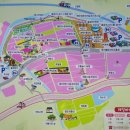 코스모스여화 이미지