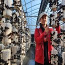 미정농장 이미지