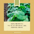 영임농장 이미지