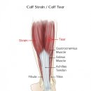 진심과정성 한의원 이미지