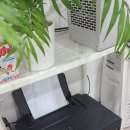G1010 이미지