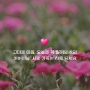 네오캣 스튜디오 이미지