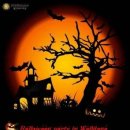 웰던외국어학원 이미지