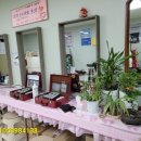 라라상사 이미지