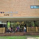 카페아띠 케이에스피뉴스