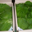 정선농장 이미지