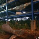 여수산단1로 이미지