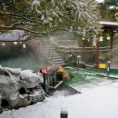 온천스파벨리 이미지