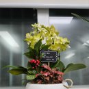 서소문파출소 이미지