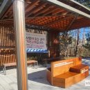 생명의 하모니 이미지