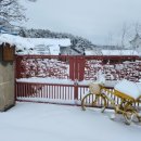 도문자작 이미지