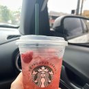 에메랄드 하우스 이미지