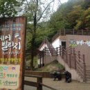 의신 베어빌리지 이미지